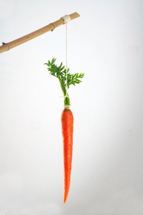 20073282659_dangling carrot